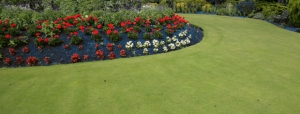 Northeast Landscaping Services, Inc.